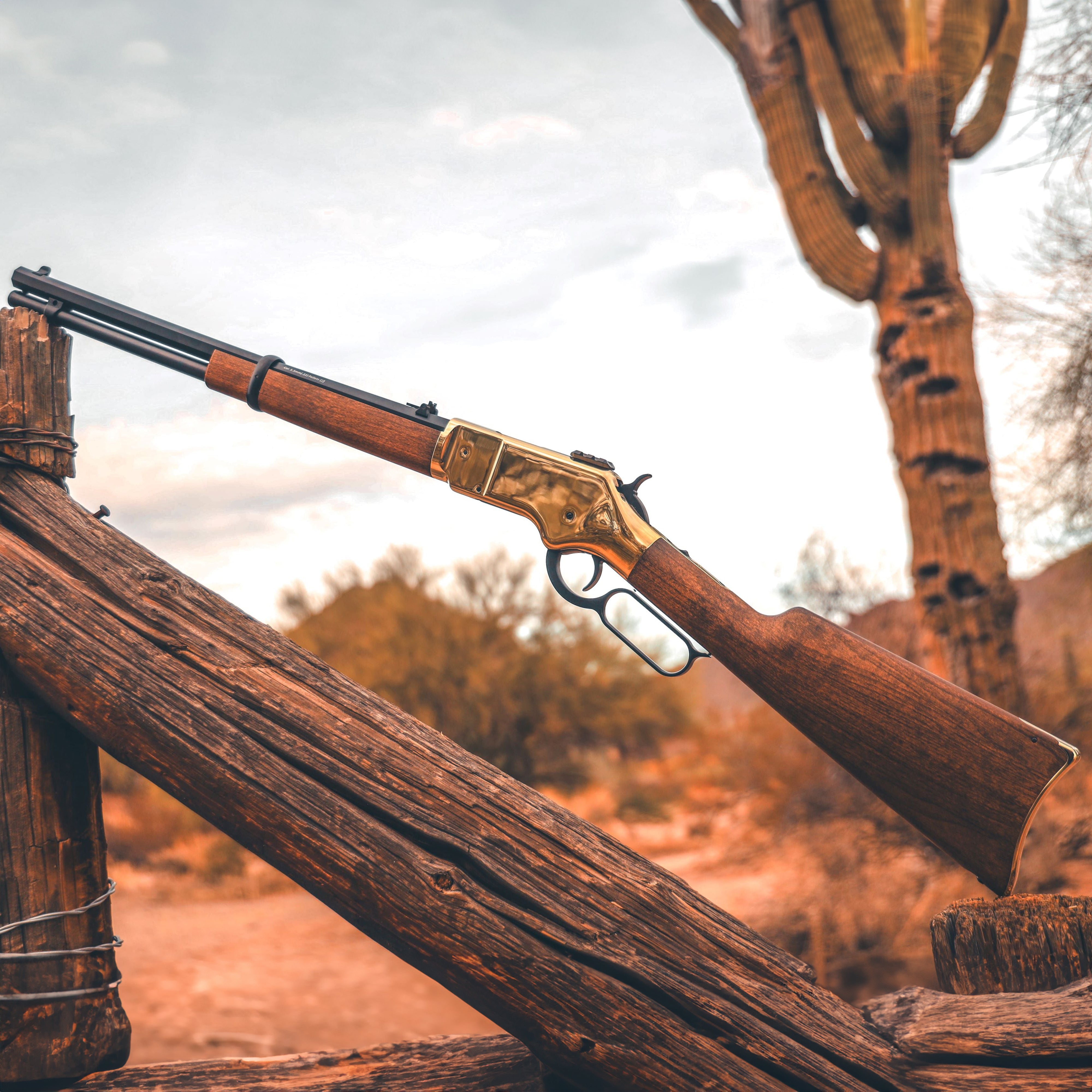 Barra Airguns | Gold CO2 1866 .177 Lever Air Rifle | Western Style