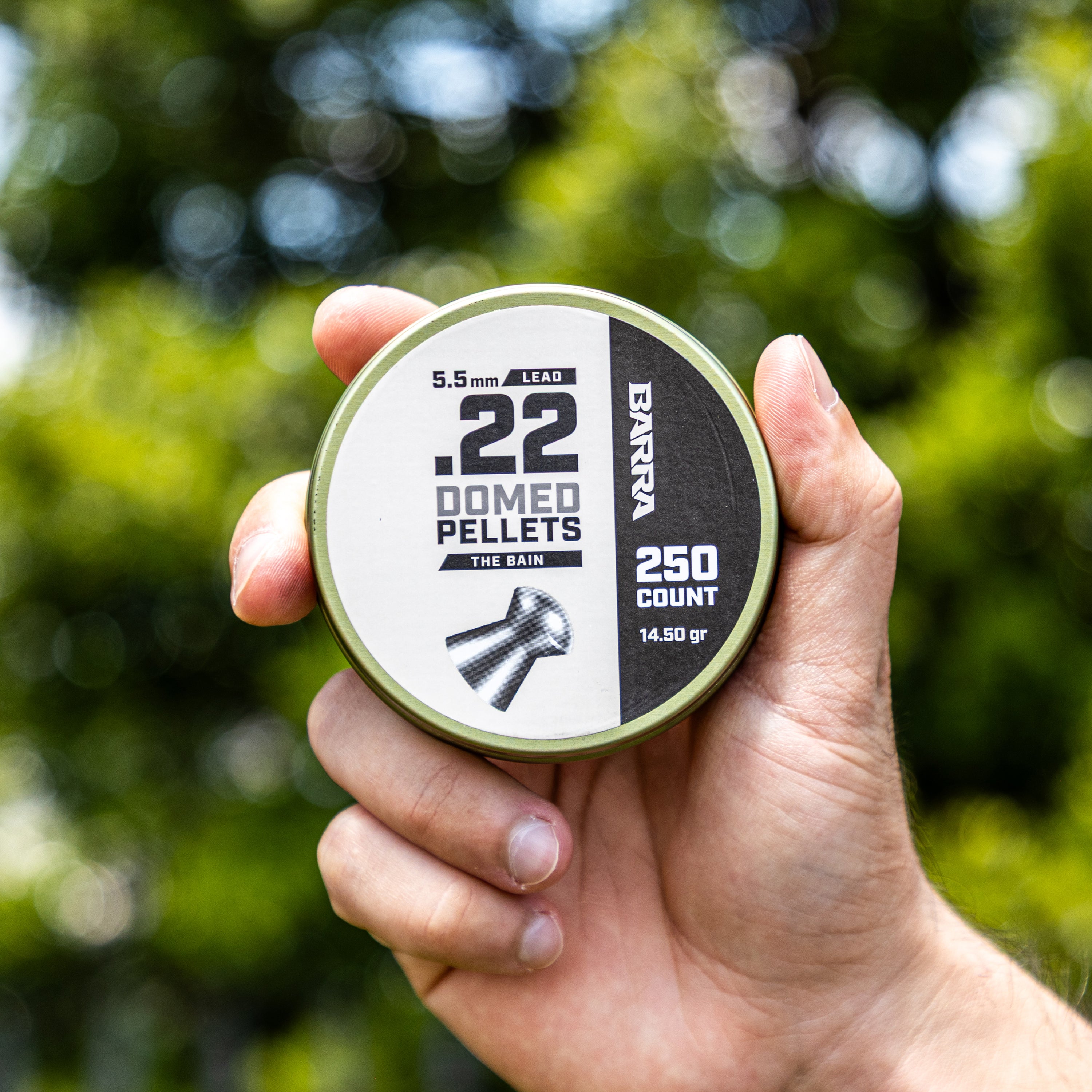 贝恩圆顶 .22 口径弹丸 - 250 颗